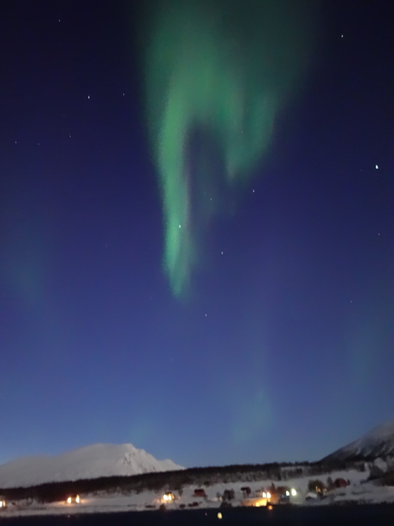 DSC05871.JPG