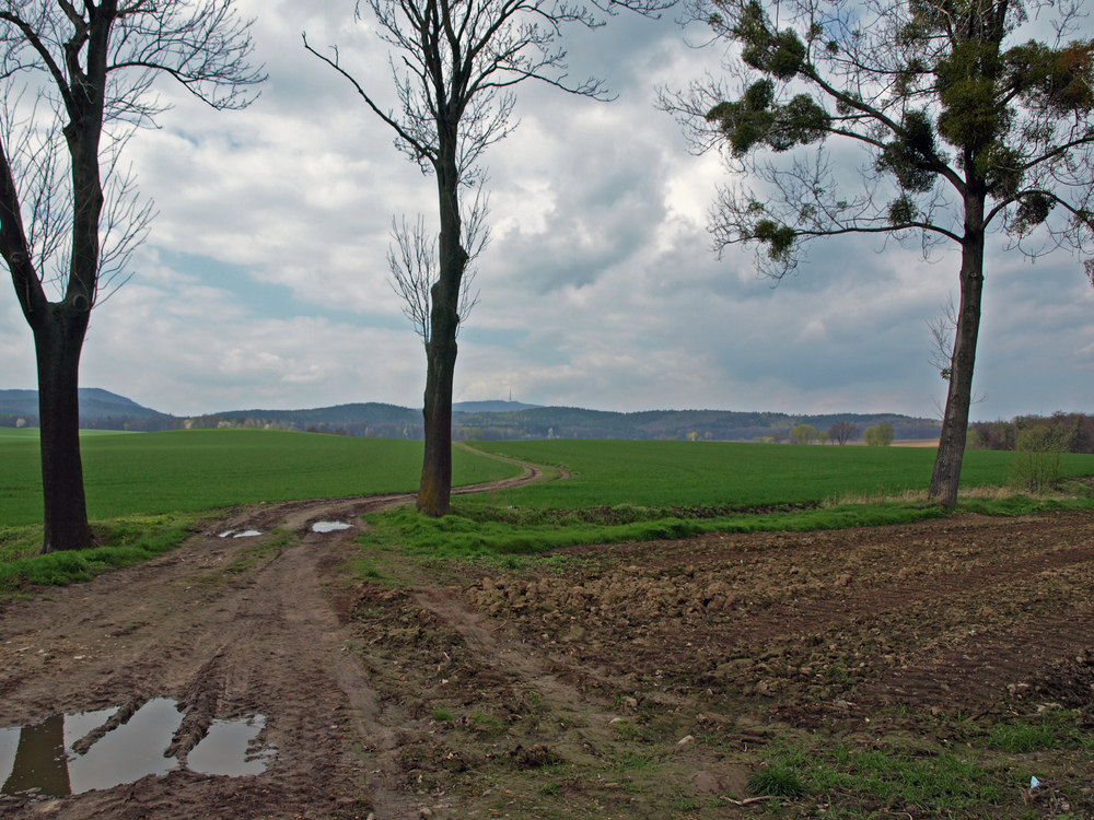P4093963.thumb.JPG.e75bcc8c36050a18e45df8c764a8c9b4.JPG