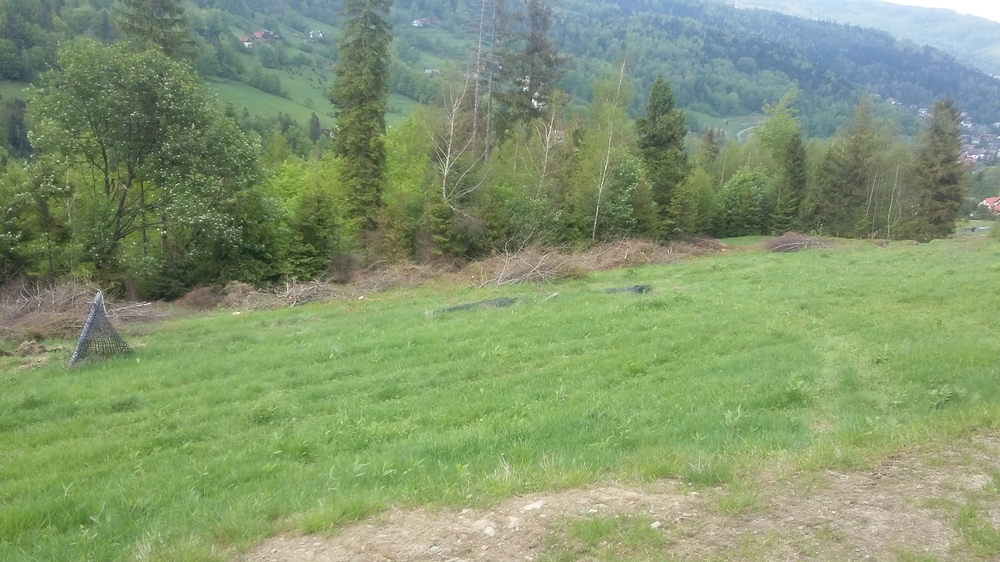 20170521_155449.jpg