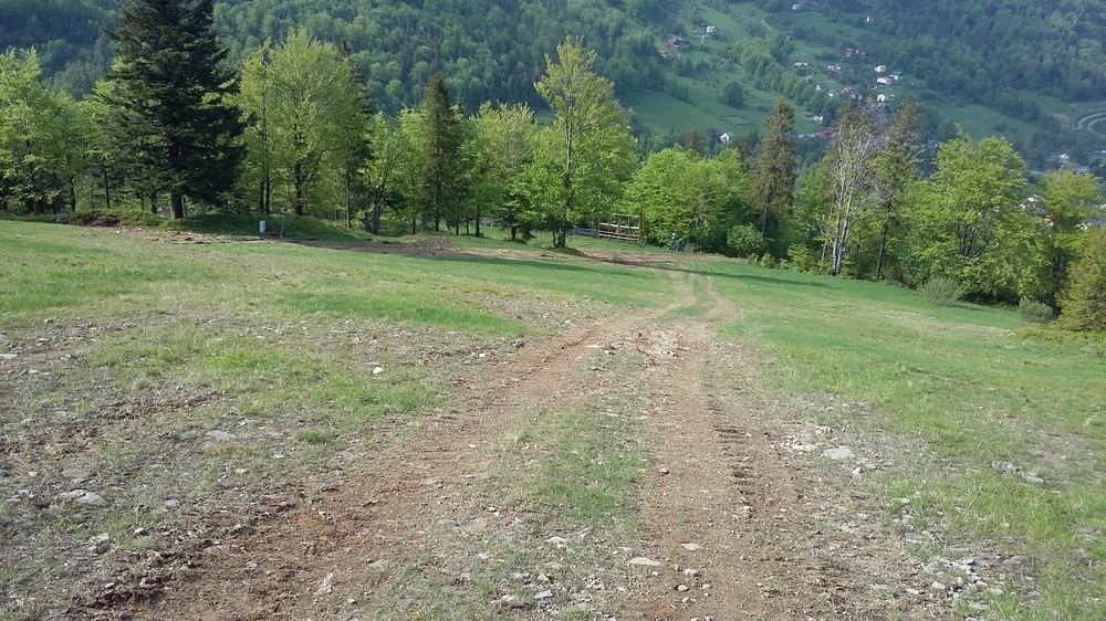 20170521_161248.jpg