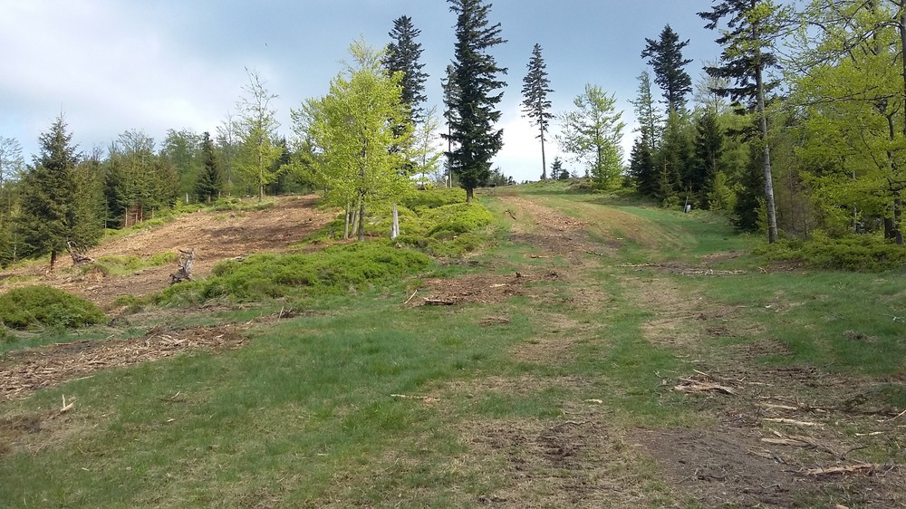 20170521_162640.jpg