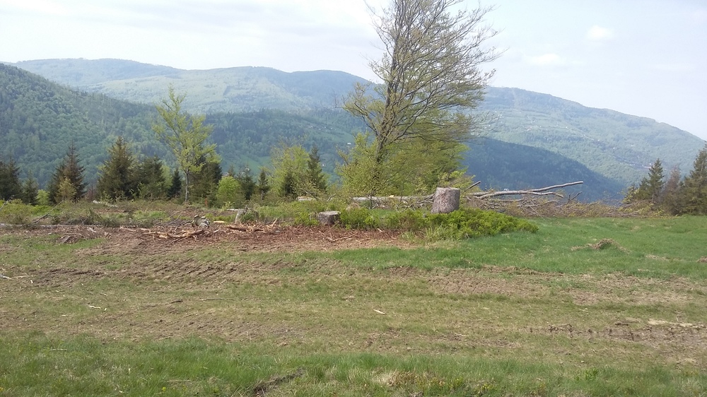 20170521_163140.jpg