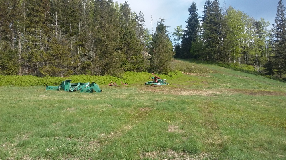 20170521_165332.jpg