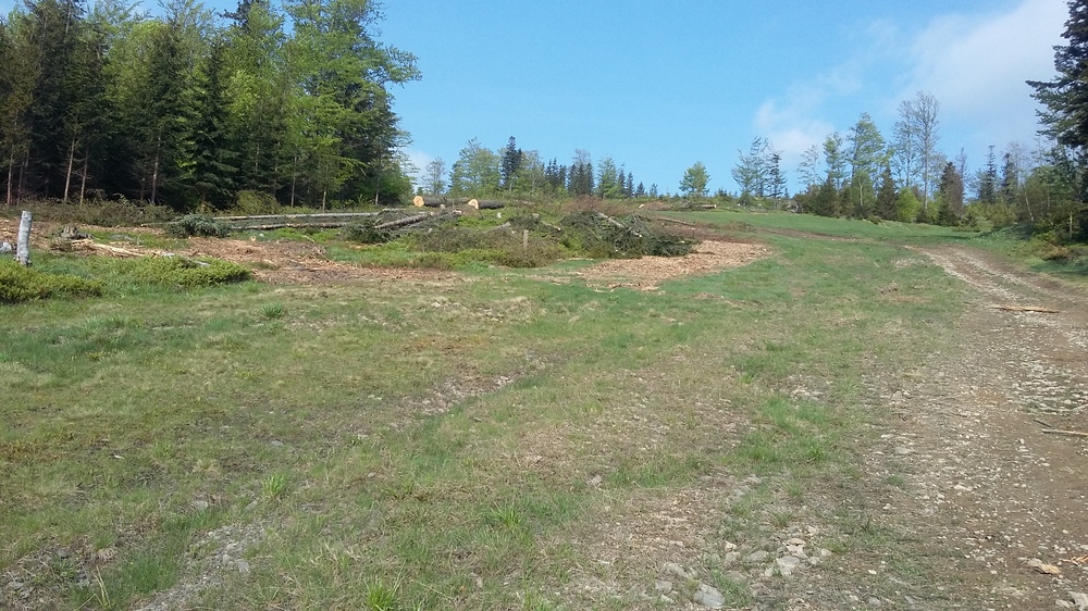 20170521_170114.jpg