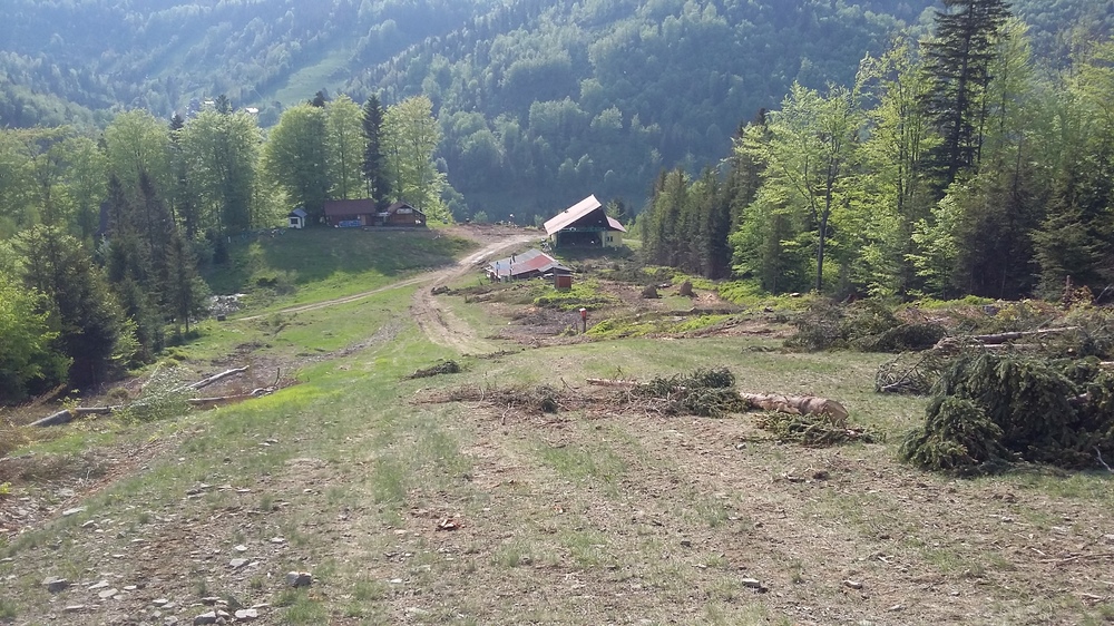 20170521_170905.jpg