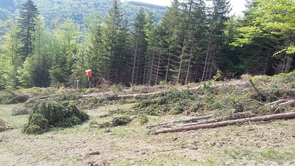 20170521_170911.jpg