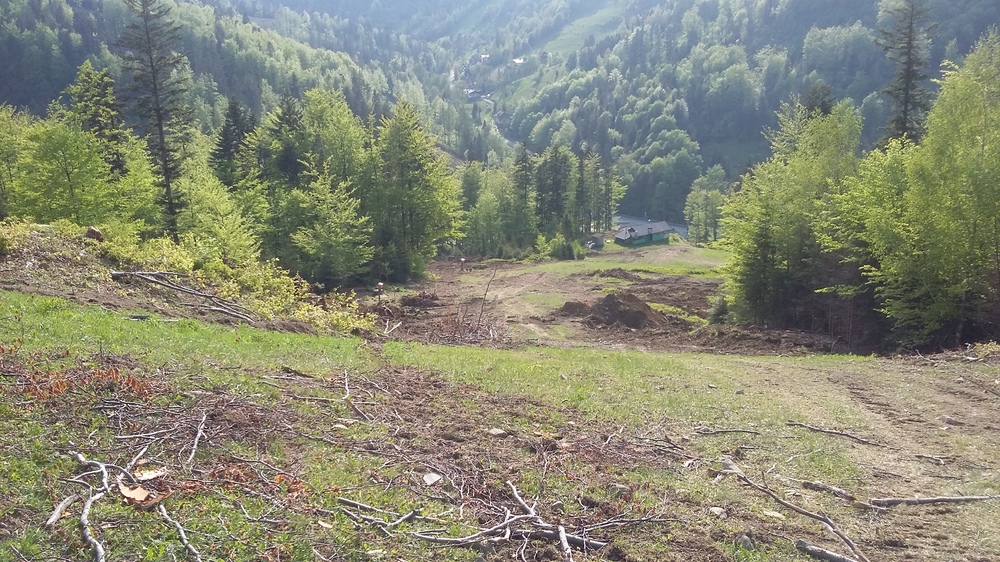 20170521_171443.jpg