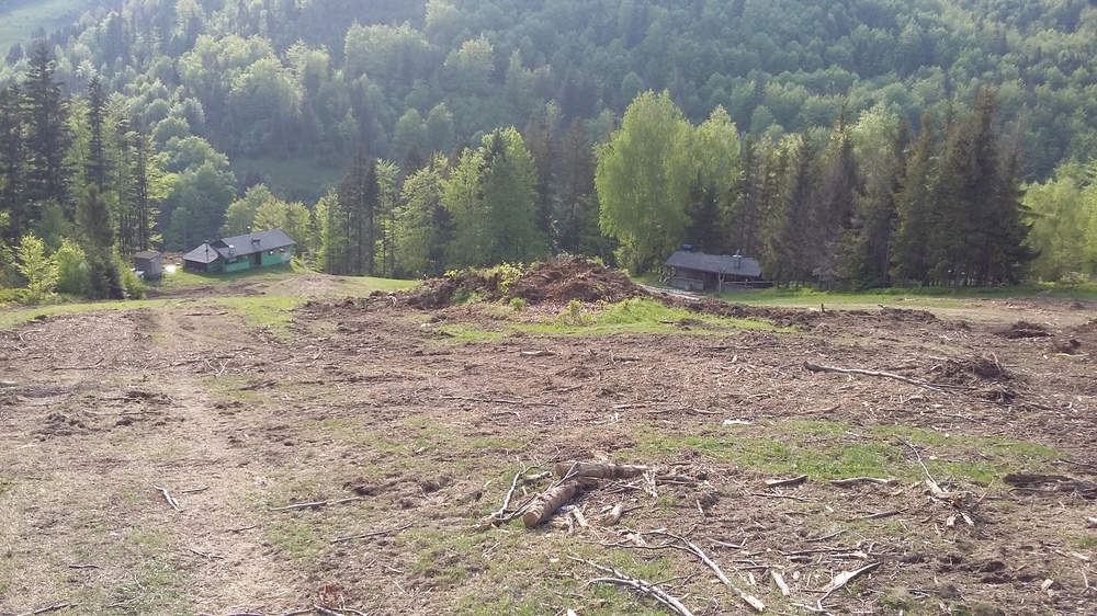 20170521_171919.jpg