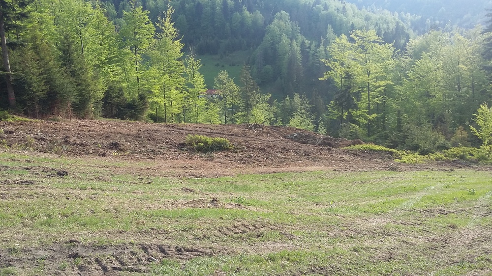 20170521_172041.jpg