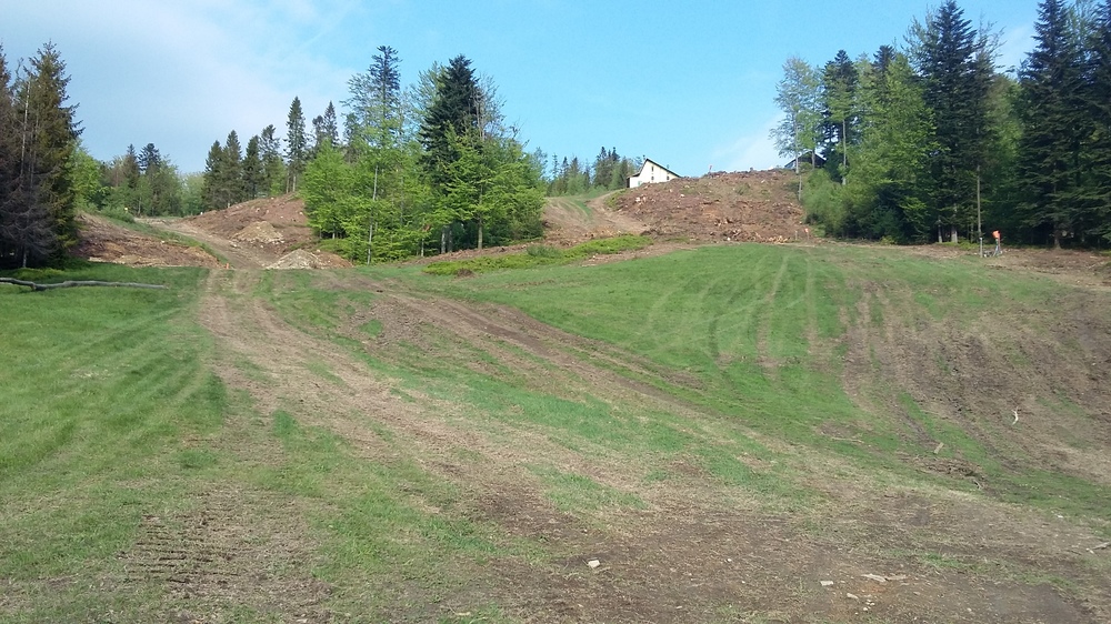 20170521_172302.jpg