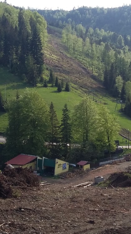 20170521_172552.jpg