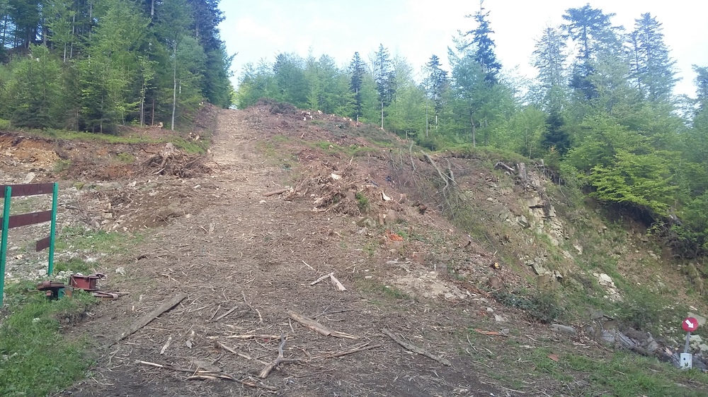 20170521_173324.jpg