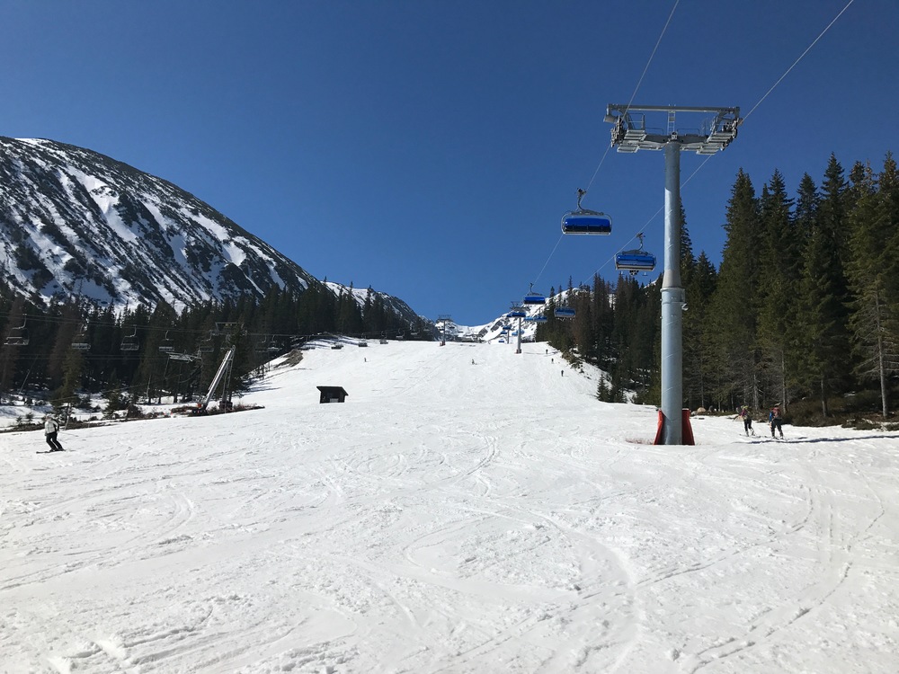IMG_0483.jpg