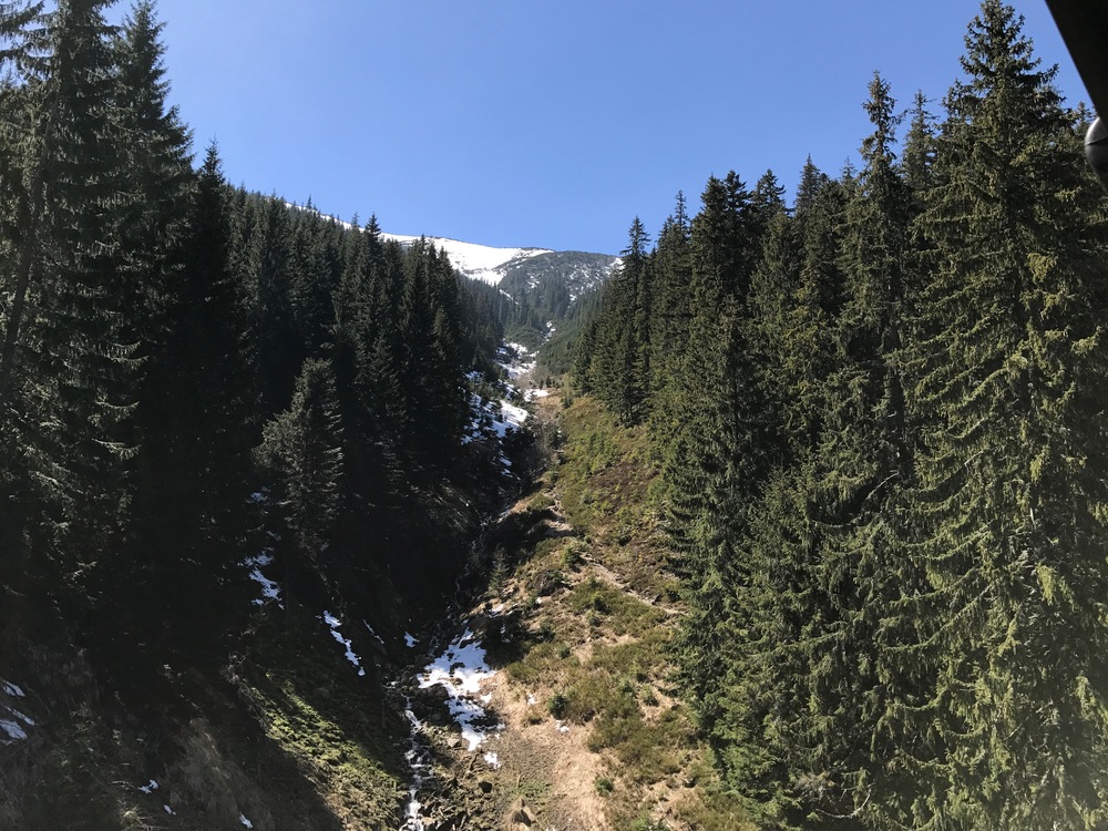 IMG_0509.jpg