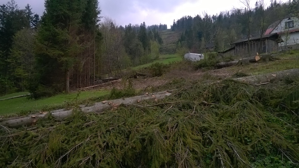 WP_20170507_003.thumb.jpg.891b21db93f655b51993cc0f709ff96f.jpg