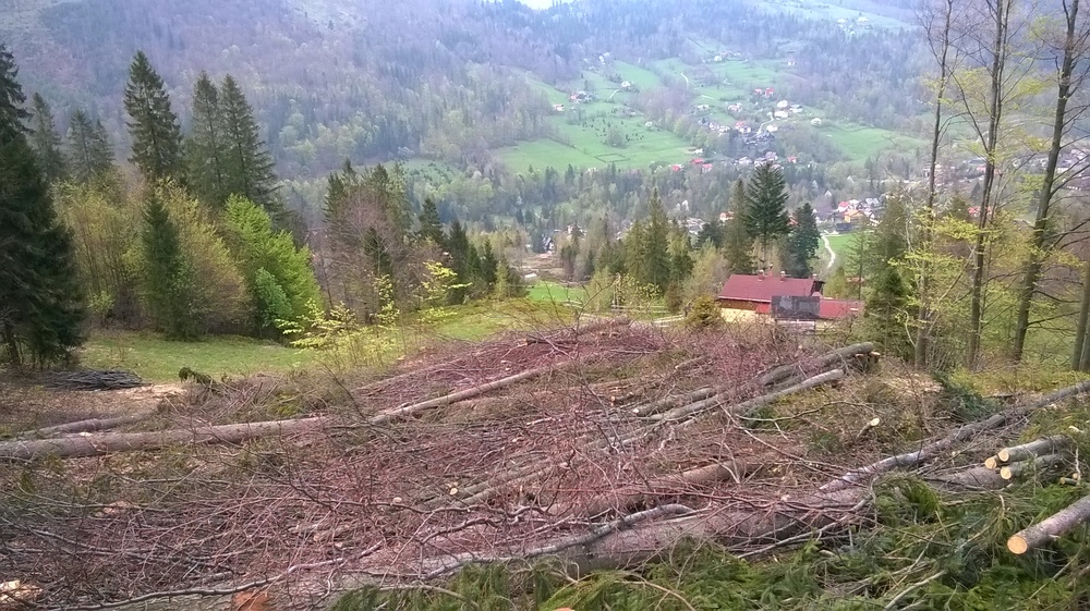 WP_20170507_009.jpg