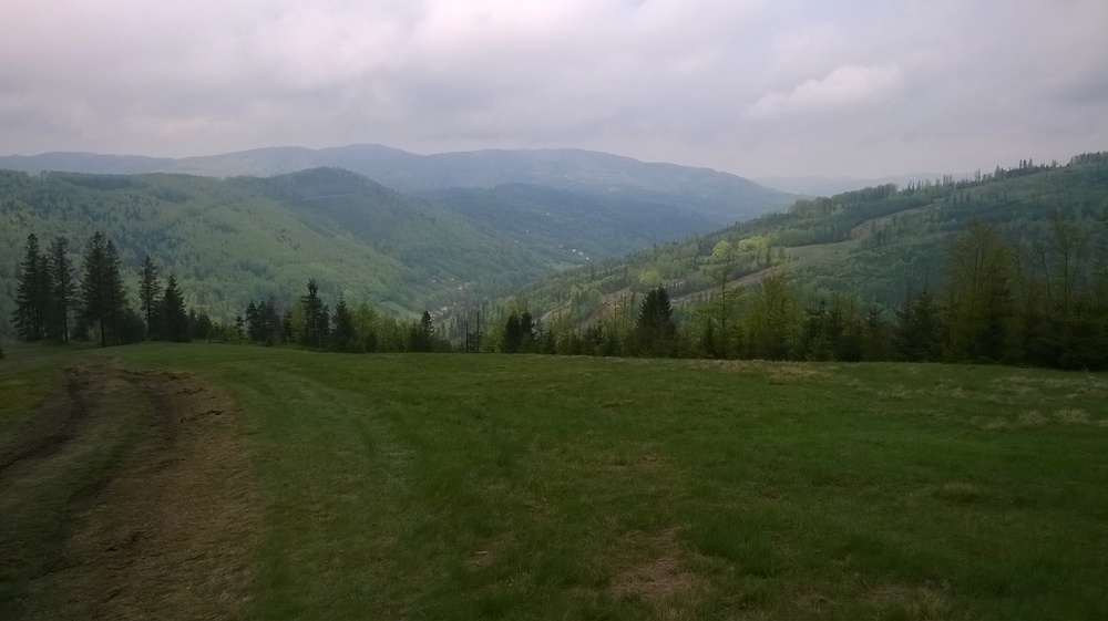 WP_20170521_004.thumb.jpg.6683f3ede6ba3774dd5905d13fd1c04d.jpg
