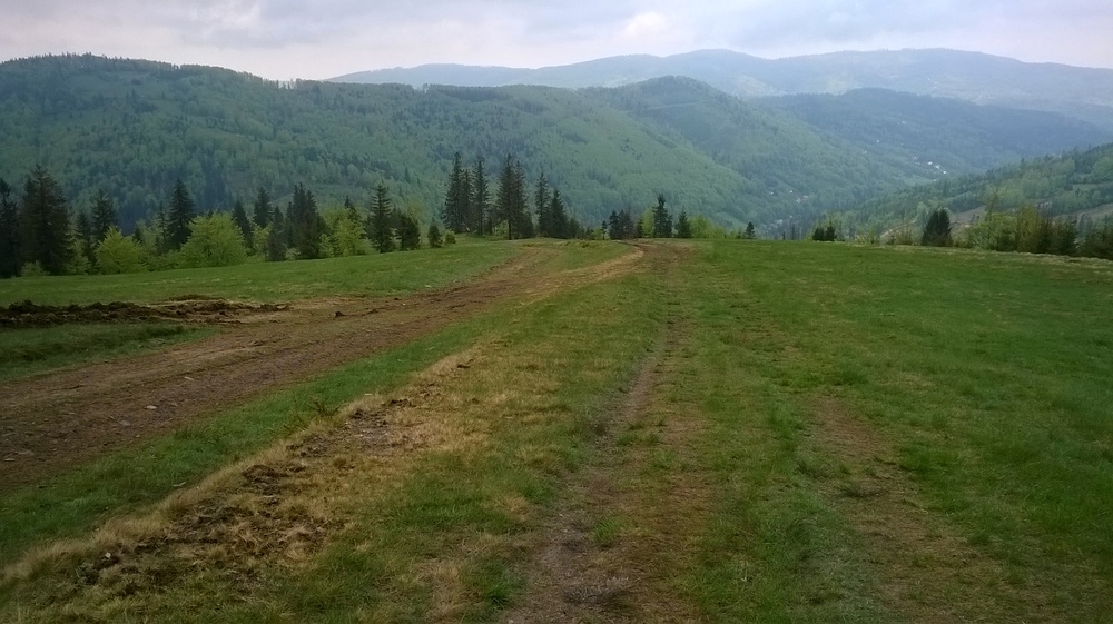 WP_20170521_005.thumb.jpg.8605d4f71743bb99218a96ebebc01d60.jpg
