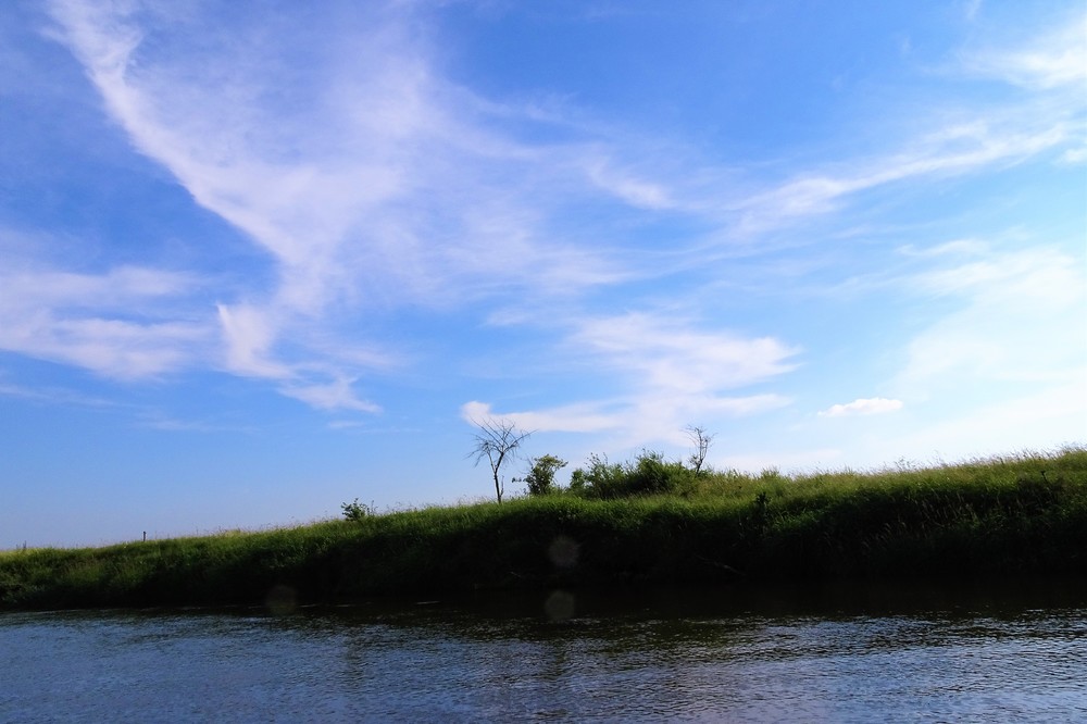 DSC04519.thumb.JPG.55491cf813c154ddb8bbbac2372828f6.JPG