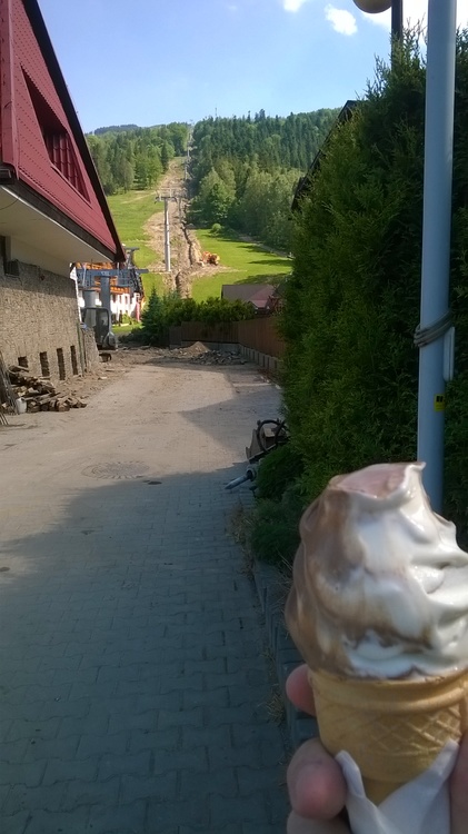 WP_20170603_001.thumb.jpg.f11f304cacd90dca5ada7585f89aea17.jpg