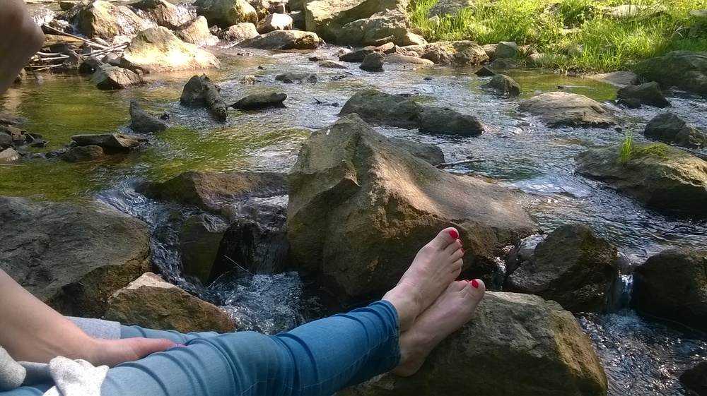 WP_20170603_007.thumb.jpg.1671a557d0610e2a82b53de4b4ecae1c.jpg