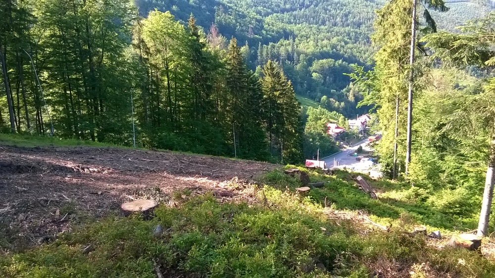 WP_20170615_014.thumb.jpg.2e87d714a6012bf685a91cd0045e110b.jpg