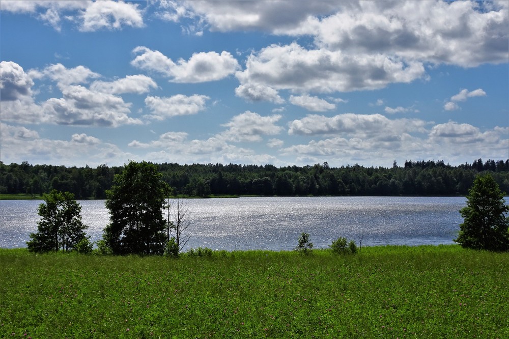 DSC05849.thumb.JPG.7a4624e9777667f527f2f3f25d071443.JPG