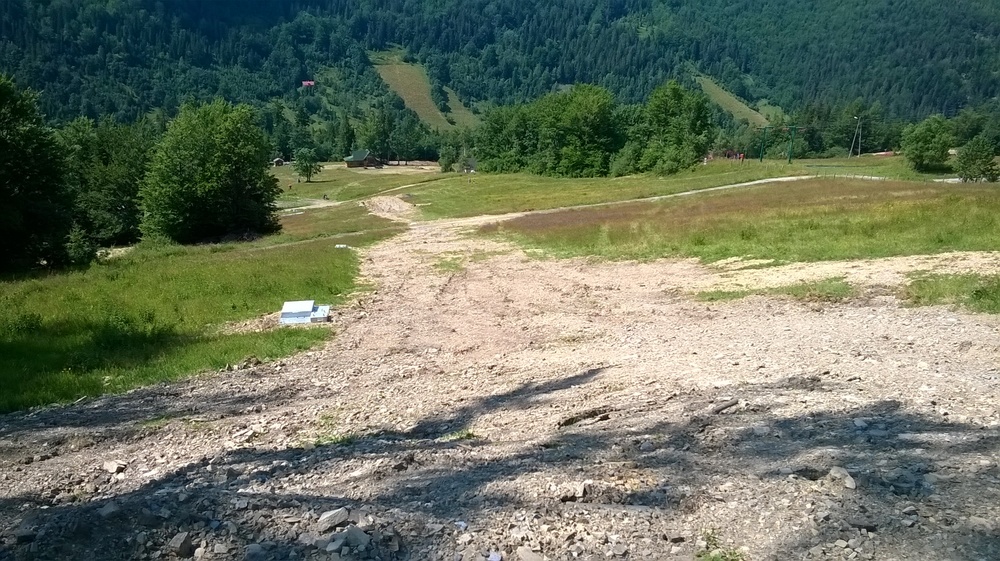 WP_20170716_005.thumb.jpg.3f53814db853ec6745b66c8fbcb70c33.jpg