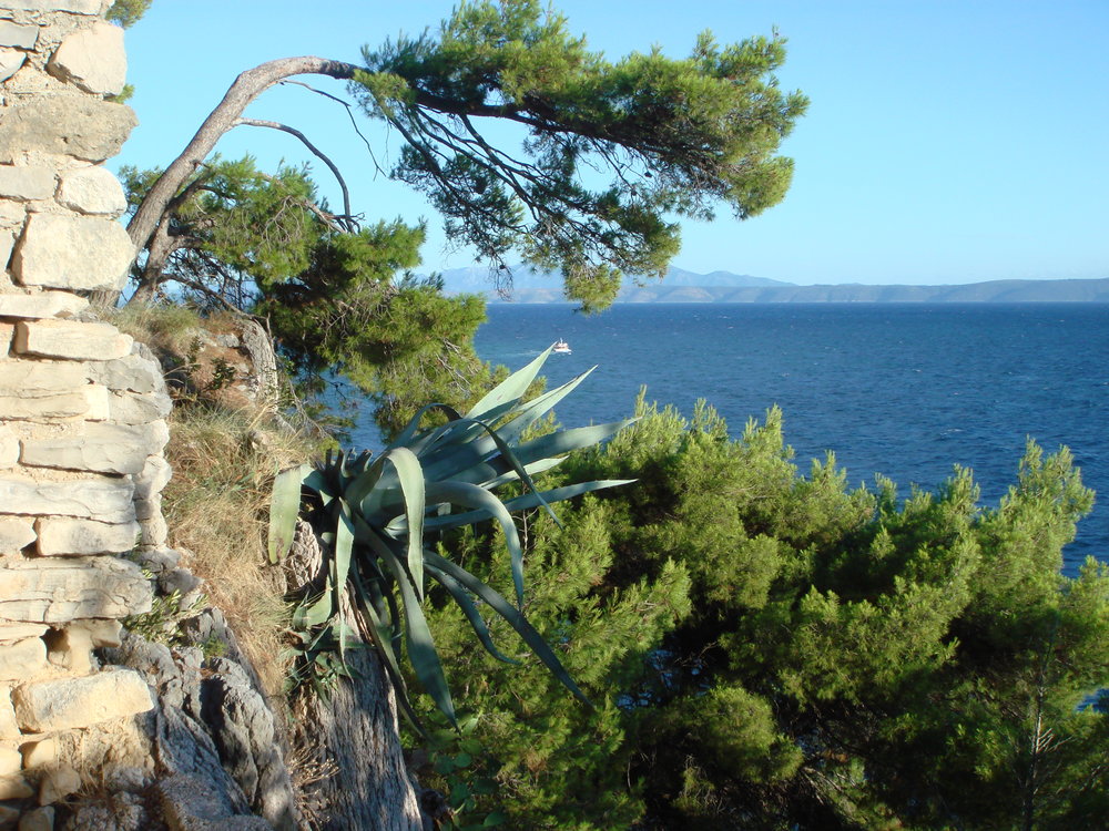DSC02111.JPG