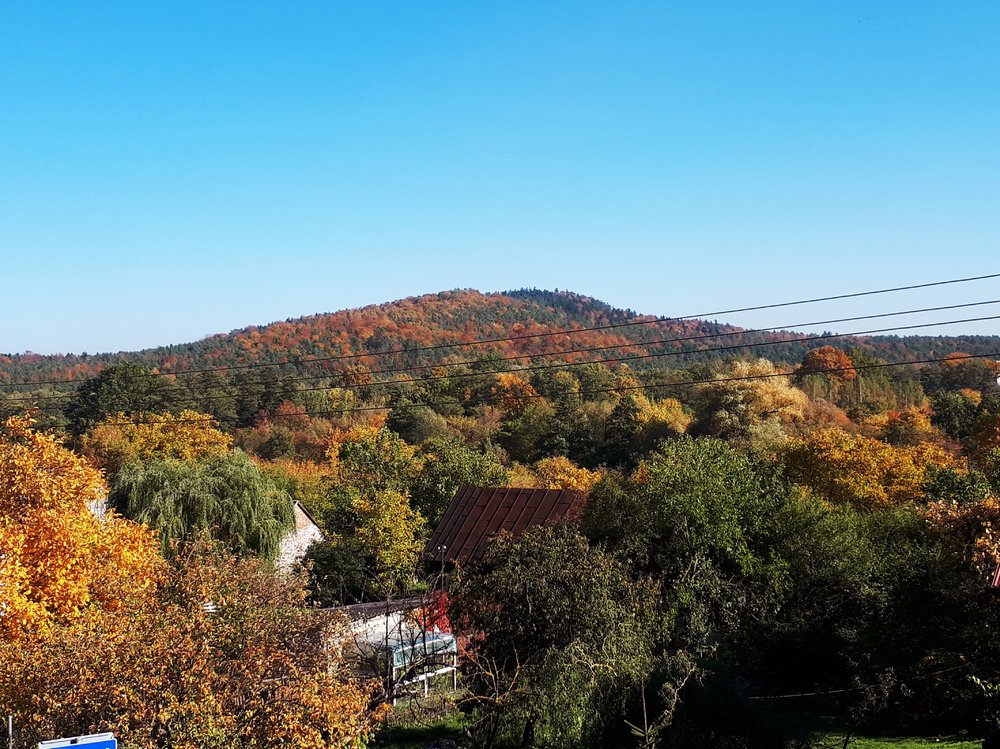 20171016_125744.thumb.jpg.41b679045a6df6b60c8eb2c554179559.jpg