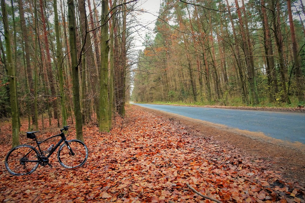 DSC09018.thumb.JPG.33ac58074a65d7beb298770985a05c44.JPG