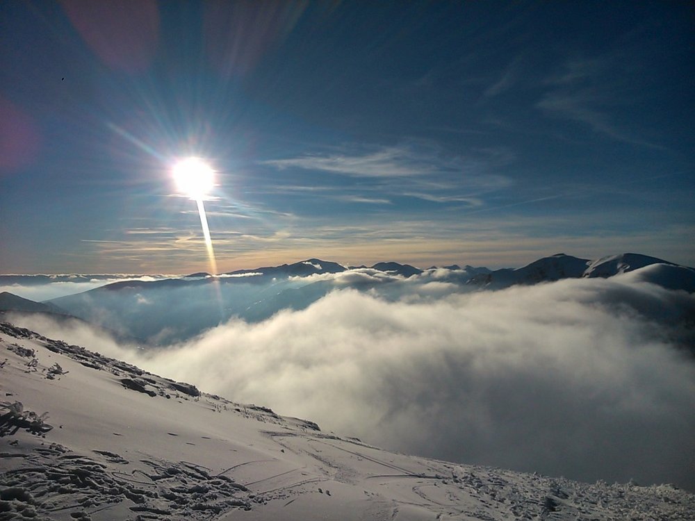DSC_0721.thumb.jpg.7fa61db726fe11fa38b2564a3960cc2b.jpg