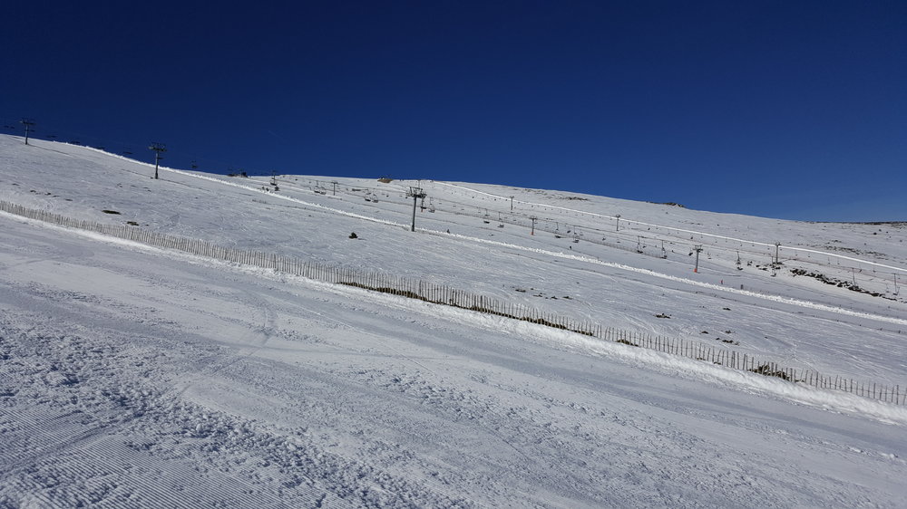 20170403_102624.jpg