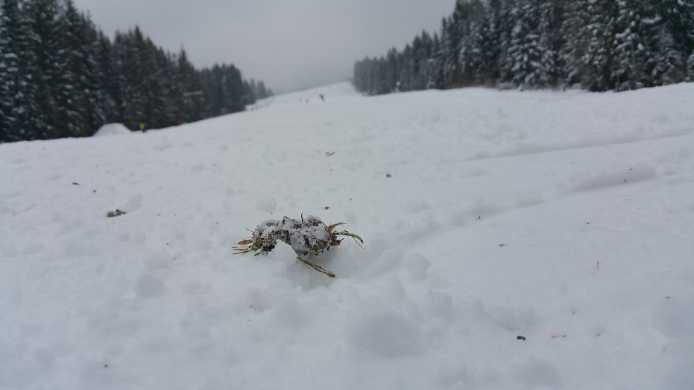 20171203_112009.jpg