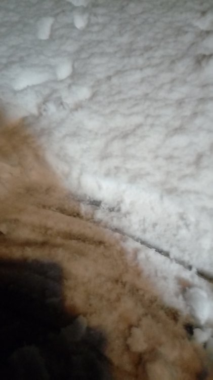 20171208_203949.thumb.jpg.91def8c63eeaea027874a232436e3ce5.jpg