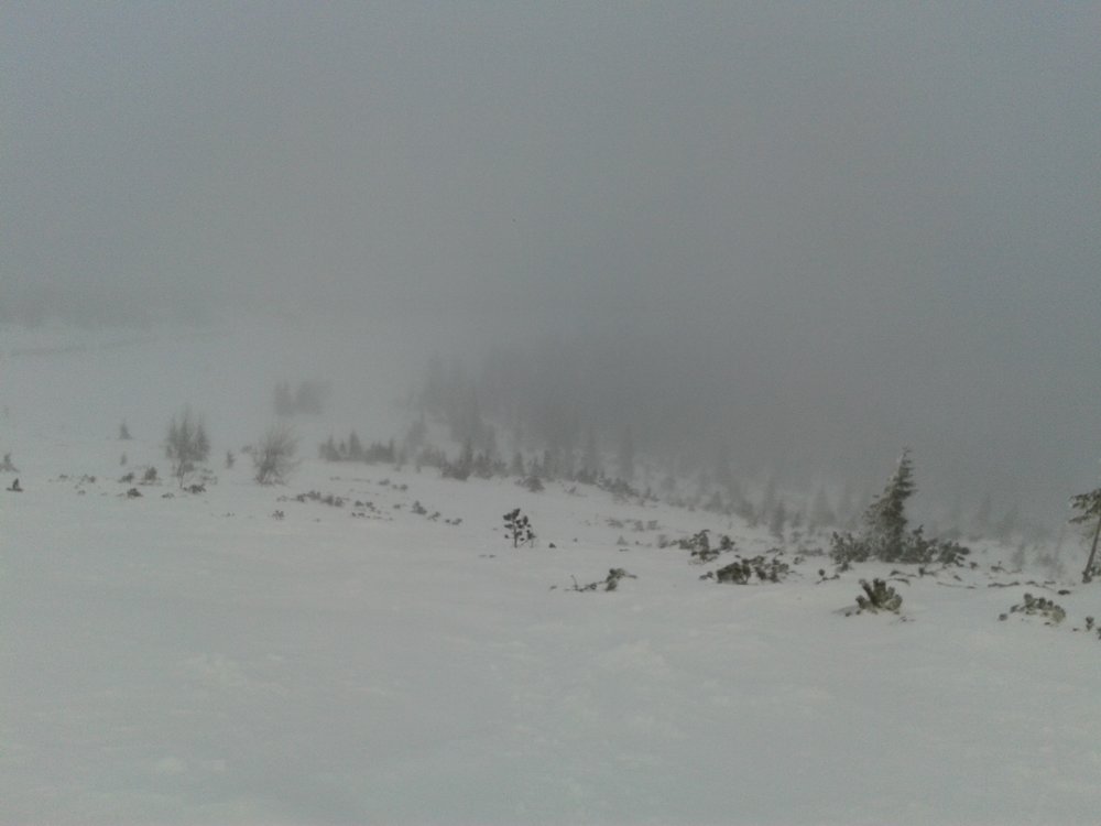 20171210_125430.jpg