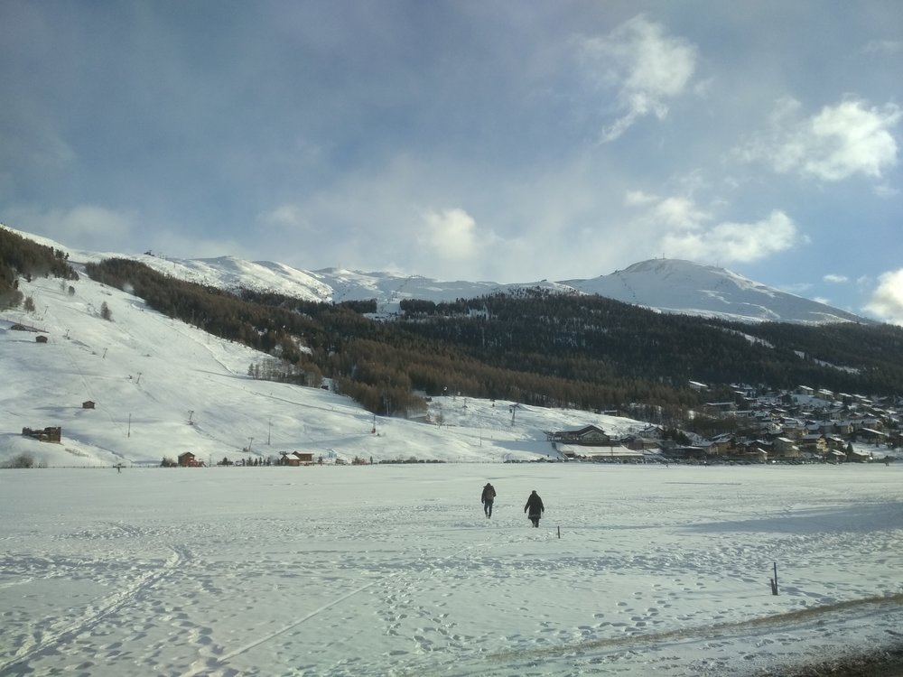 IMG_20171209_145958[1].jpg