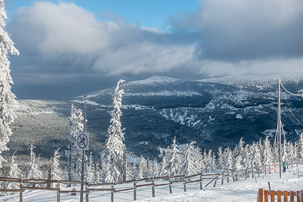 DSC03779.jpg.bc162a1071ab2b3c1b4c5c8f2327f48b.jpg