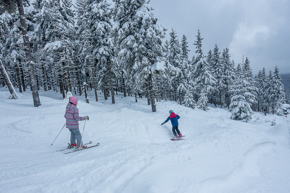 DSC03824.jpg.7e40ffc3da125290675e5660772ef7df.jpg