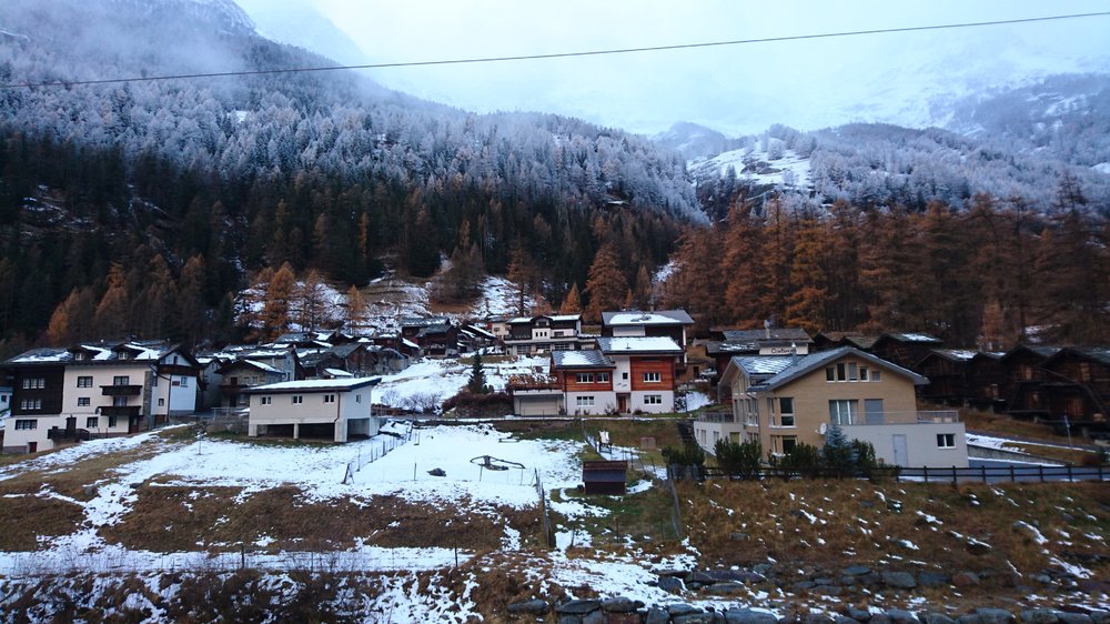 DSC_0206.JPG