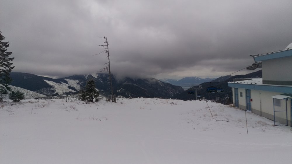 IMAG0431.jpg