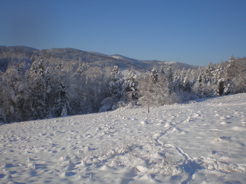 PC300664.JPG