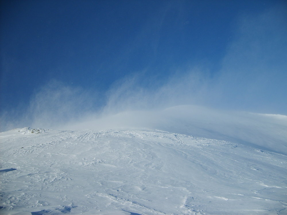 S5003378.JPG