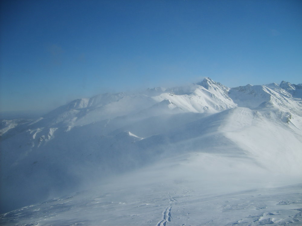 S5003380.JPG