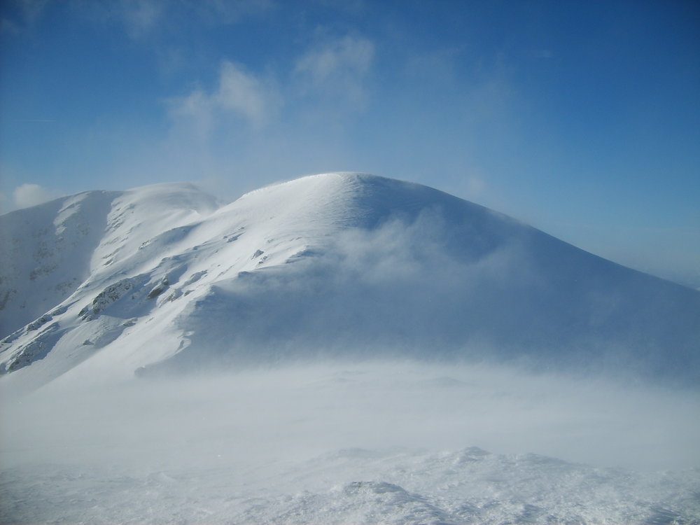 S5003383.JPG