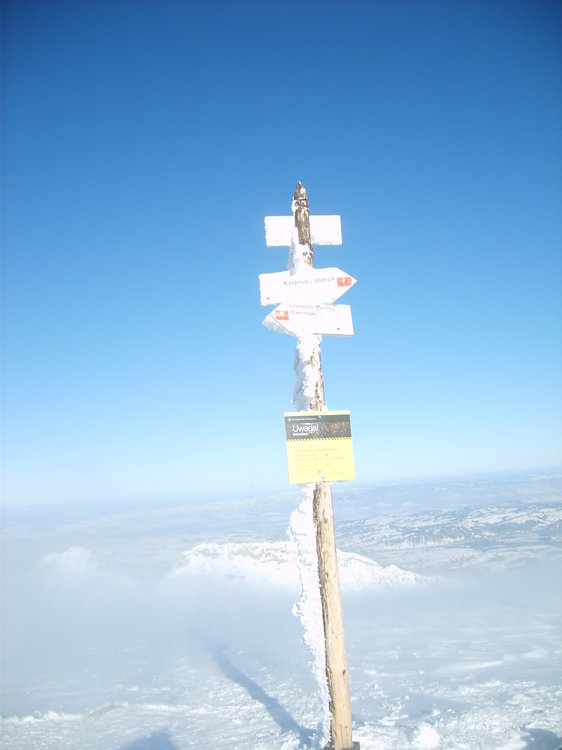 S5003384.JPG