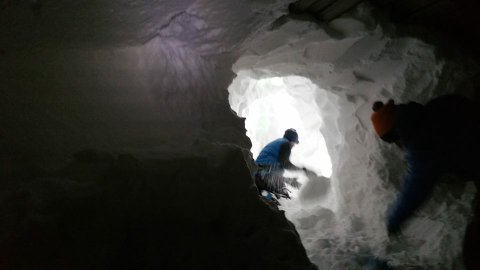 1516751305877.jpg.2a66c951b463905a6daea80460e204a8.jpg