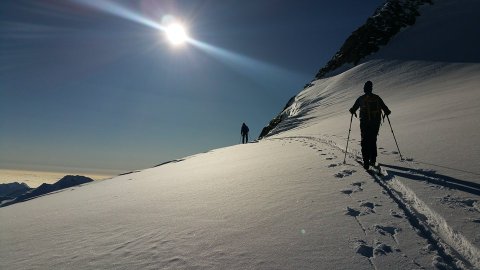 1516751363771.jpg.a7542d1a43ea5fb72f0d1ac83896f524.jpg