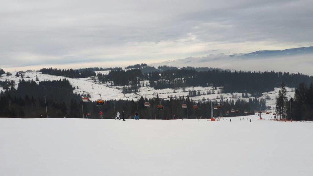 20180102_110015.jpg