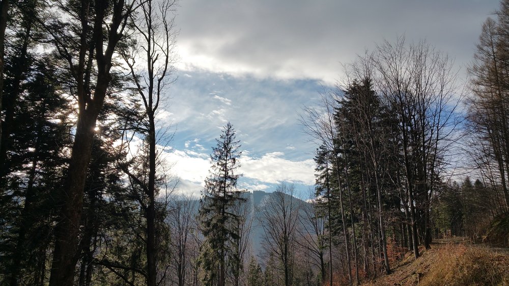 20180106_114940.jpg